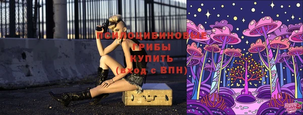 крисы Козельск