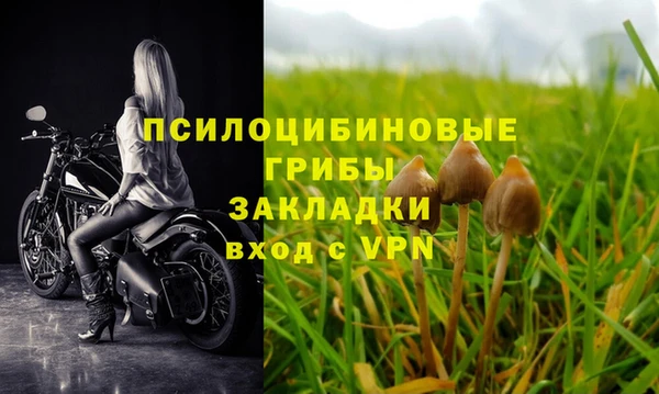 крисы Козельск