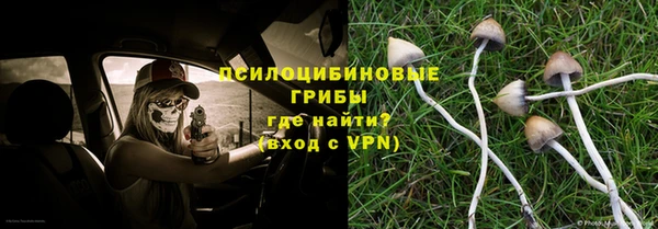 каннабис Коряжма