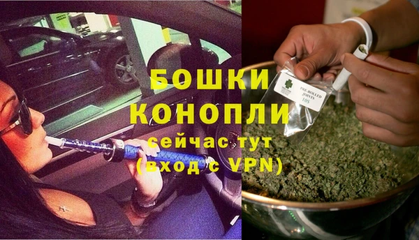 каннабис Коряжма