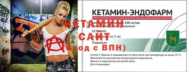 крисы Козельск